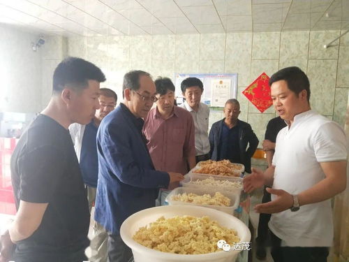 自治區市場監督管理局 在我旗調研民族傳統奶制品生產銷售工作