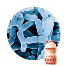 養(yǎng)樂多專注 食品安全好聲音 完善全流程監(jiān)控是根本